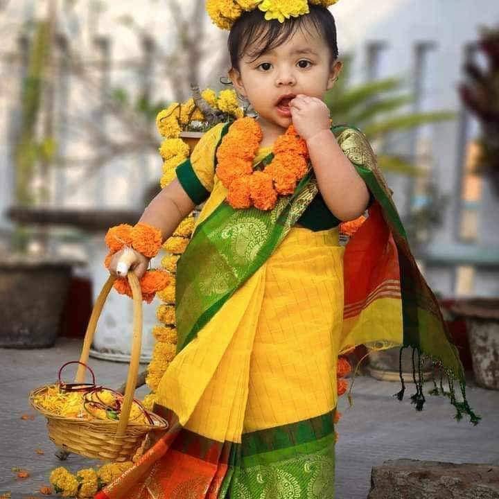 Bacchader Shari Collection